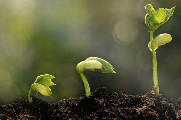 Obstacles in spiritual progress